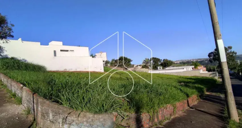 Terreno comercial à venda na Rua Sete de Setembro, 66, Alto Cafezal, Marília