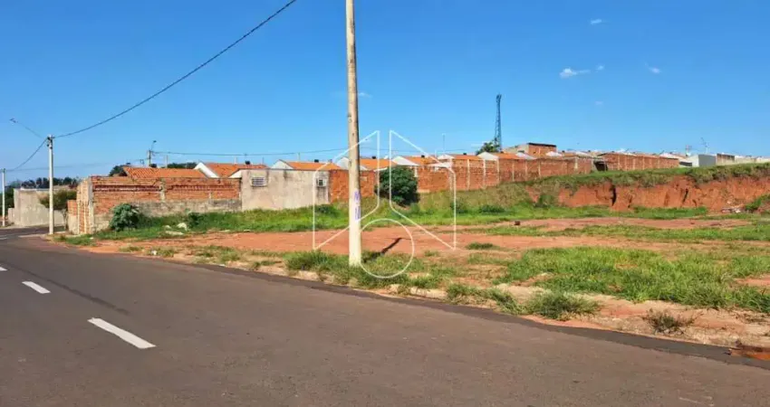 Terreno comercial à venda na Avenida Eliezer Rocha, 71, Jardim Santa Antonieta, Marília