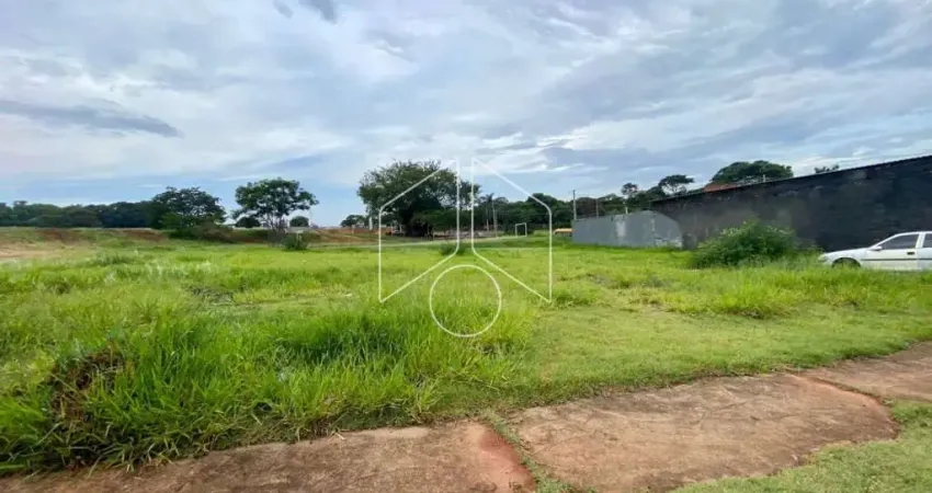 Terreno comercial à venda na Rua Honório Queiros Coutinho, 56, Residencial Vida Nova Maracá (Padre Nobrega), Marília