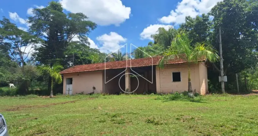 Chácara / sítio à venda na Sitio Esperança - Nucleo Colonização Faz. Santa Helena, 65, Área Rural de Marília, Marília