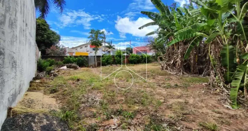 Terreno comercial à venda na Rua Américo Pivelo, 66, São José, Marília