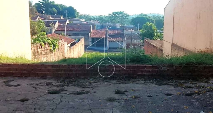 Excelente Terreno