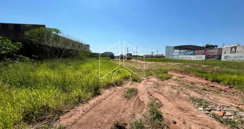 Terreno comercial à venda na Avenida Antonieta Altenfelder, 57, Jardim Santa Antonieta, Marília