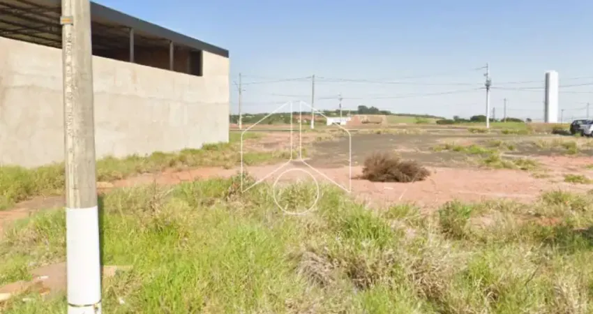 Terreno comercial à venda na Rua Otacilia Amelia da Silva Canale, 1142, Residencial Vida Nova Maracá (Padre Nobrega), Marília