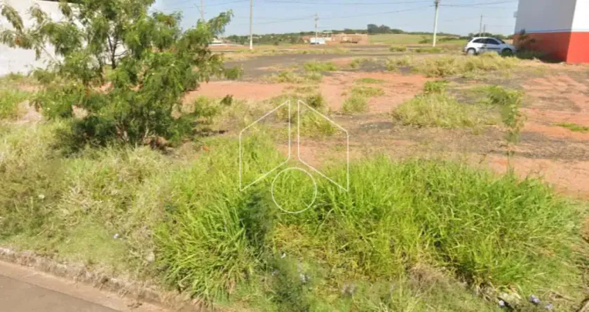Terreno comercial à venda na Rua Otacilia Amelia da Silva Canale, 1112, Residencial Vida Nova Maracá (Padre Nobrega), Marília