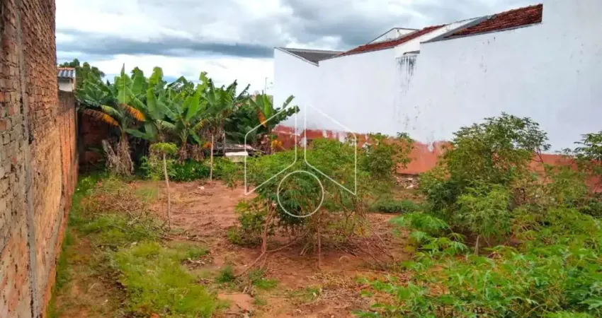Terreno à venda na Rua José Pedro Pecegato, 66, Jardim Marajó, Marília