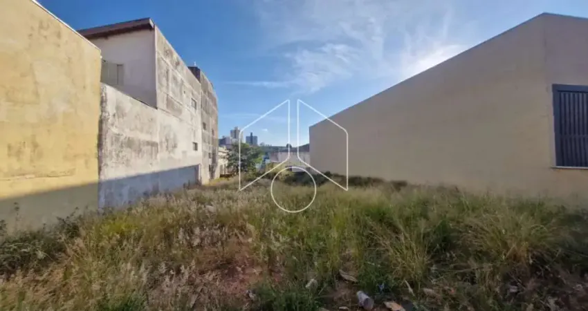 Terreno comercial à venda na Rua Bonfim, 30498, Alto Cafezal, Marília