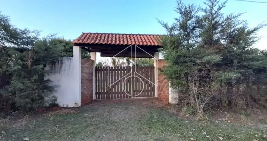 Chácara / sítio com 3 quartos à venda na Avenida Sampaio Vidal, 120, Dirceu (Distrito de Marilia), Marília