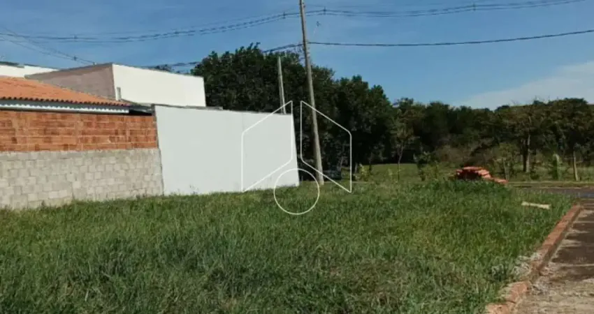 Terreno comercial à venda na Rua Anesio Gualtieri, 69, Sérgio Roim (Padre Nóbrega), Marília
