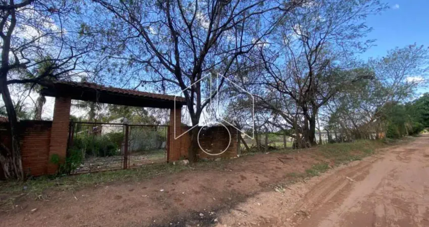 Chácara / sítio à venda na Rua Alvaro Borges da Cunha, 100, Sítios de Recreio Letícia (Padre Nóbrega), Marília