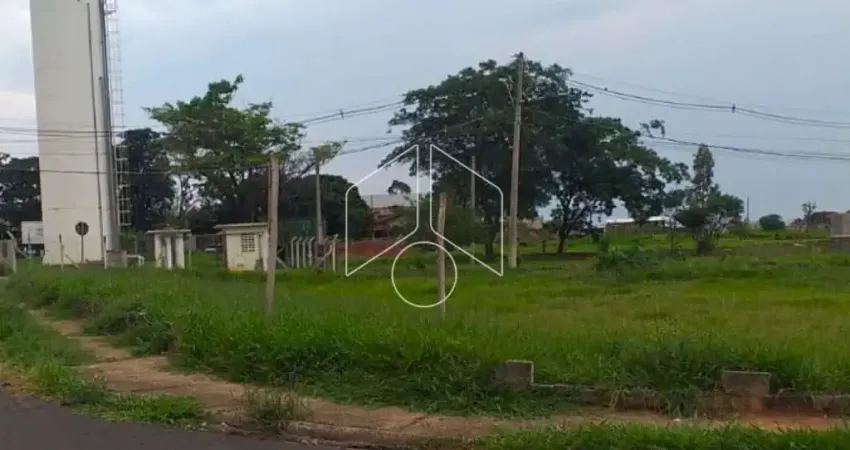 Terreno comercial à venda na Rua João Calandrim, 72, Residencial Montana (Padre Nóbrega), Marília