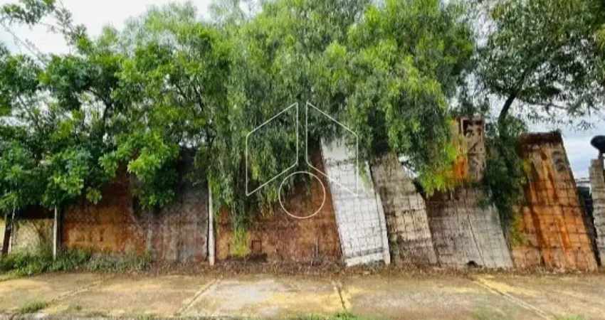 Terreno comercial à venda na Rua Alexandre Chaia, 100, Jardim Esplanada, Marília