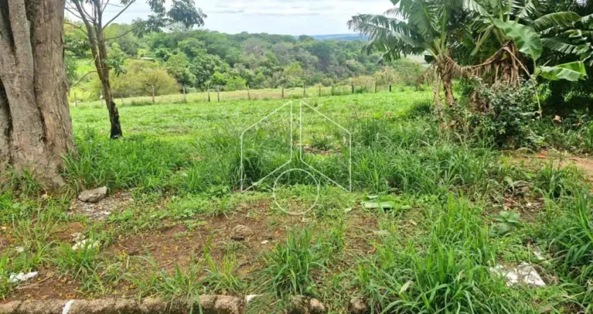 Terreno à venda na Rua Ranulpho Pavão, 74, Conjunto Residencial Luiz Egydio de Cerqueira César, Marília