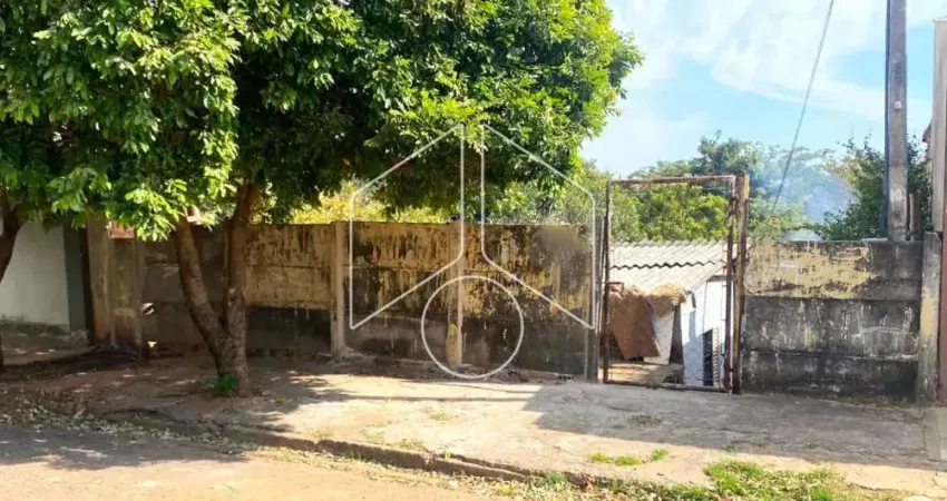 Terreno comercial à venda na Rua Albino Ferreira, 10095, Jardim Continental, Marília