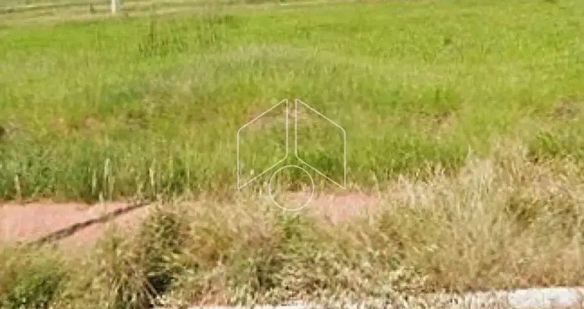 Terreno comercial à venda na avenida Antenor Barion neto, 53, Parque das Flores, Marília