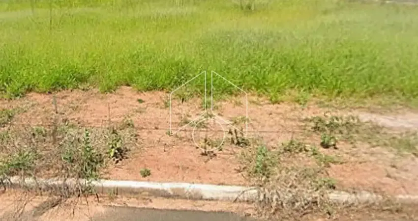 Terreno à venda na Rua Adolpho Cavina, 74, Parque das Flores, Marília