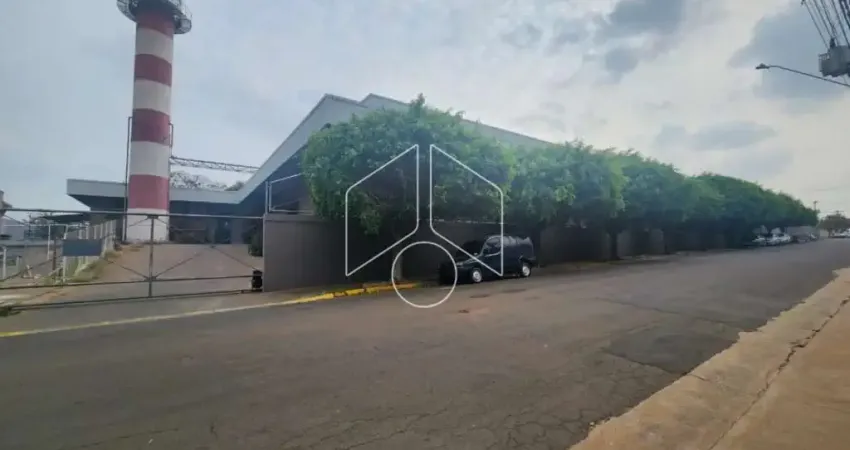 Barracão / Galpão / Depósito à venda na Rua Carlos Tosin, 102145, Distrito Industrial, Marília