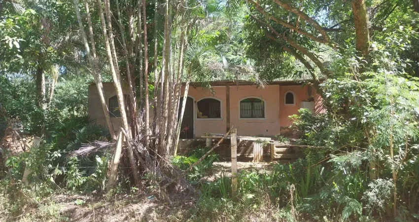 Linda chacara com duas casas varias frutiferas otima opcao pra quem deseja morar na zona rural.