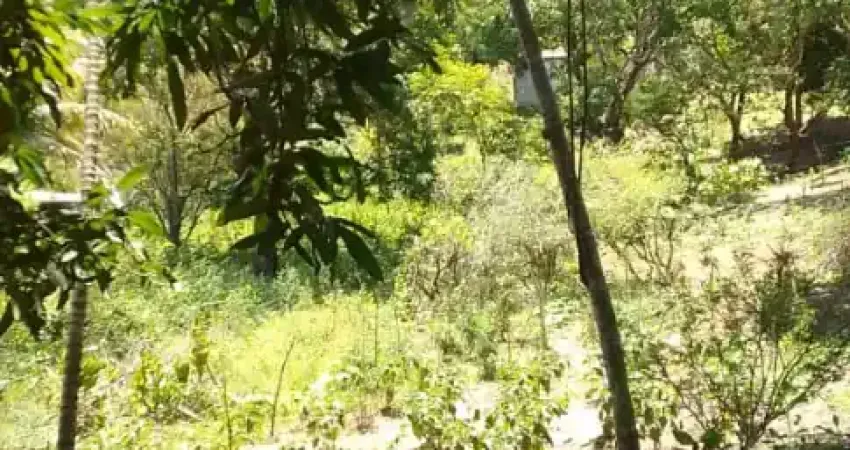 Propriedade perfeita para criação de bovinos  com espaço para plantio são 43,800 metros quadrados totalmente legalizado em meio a natureza.