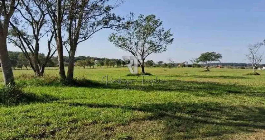 Terreno à venda em Condomínio Palmas Del Rey - Arealva/SP