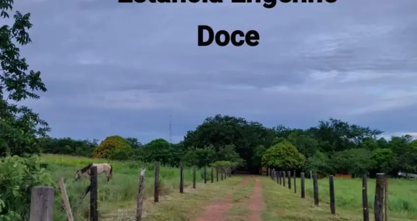 Fazenda com 2 salas à venda na Rua Marechal Deodoro, km 20, Zona Rural, Rosário Oeste