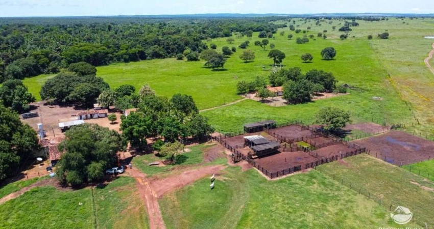 Fazenda à venda no Centro, Formoso do Araguaia 