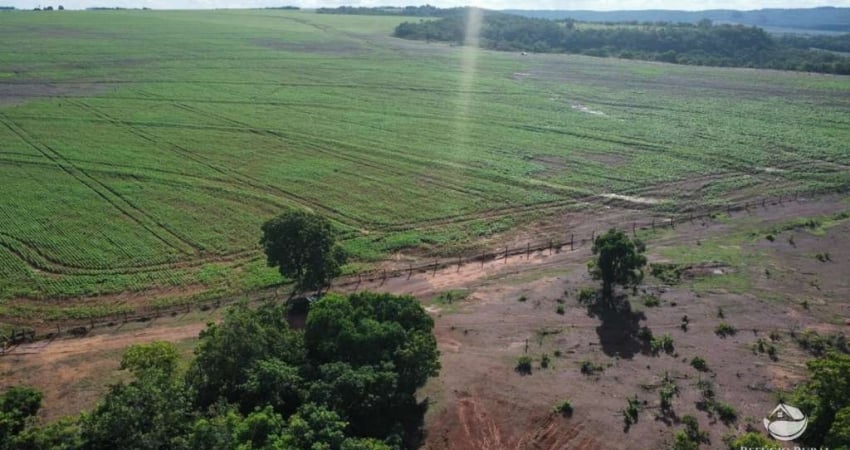 FAZENDA IMPERDÍVEL EM PEDRO GOMES/MS