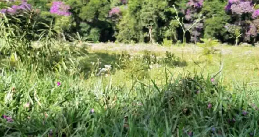 SÍTIO COM VISTA MARAVILHOSA ÁREA EXCELENTE PARA PLANTIO DE OLIVEIRA E CAFÉ