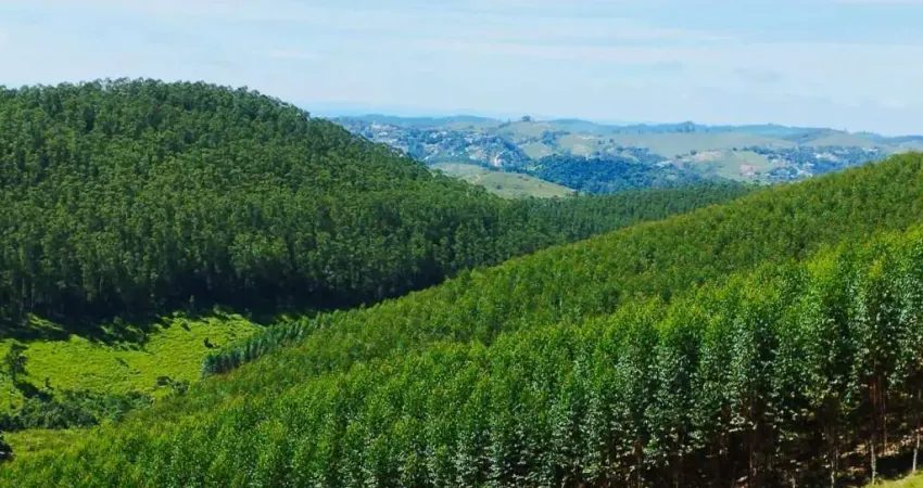 Fazenda à venda na Zona Rural, Igaratá 