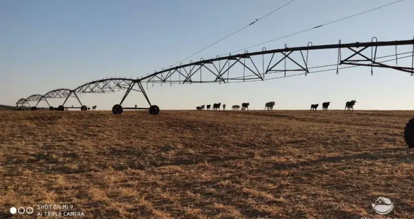 Fazenda à venda no Setor Central, Campo Alegre de Goiás