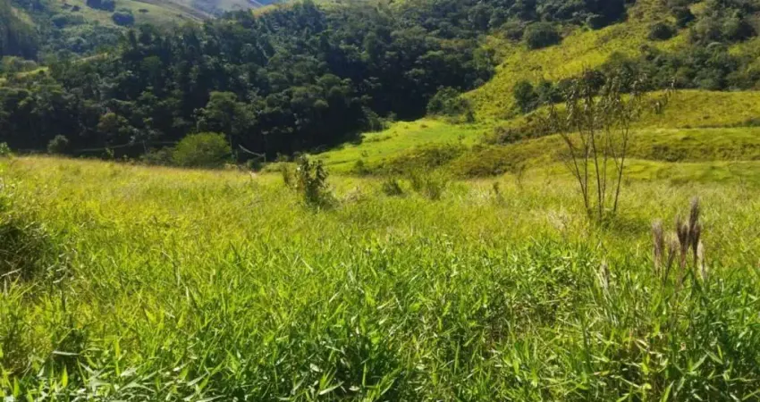 TERRENO EM SÃO FRANCISCO XAVIER COM NASCENTE E  LINDA VISTA