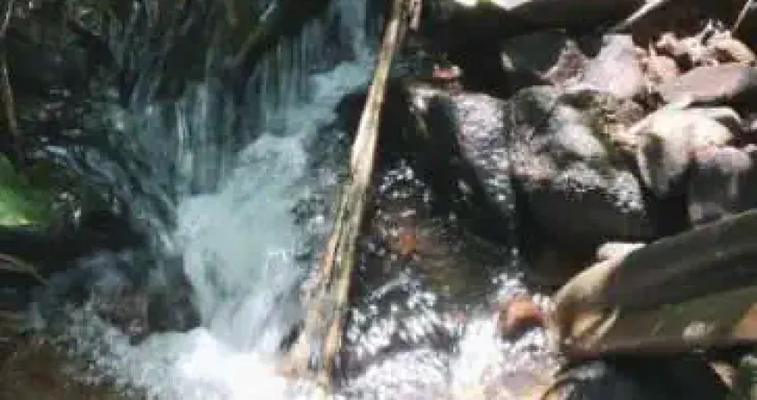 Terreno à venda no Centro, Monteiro Lobato 