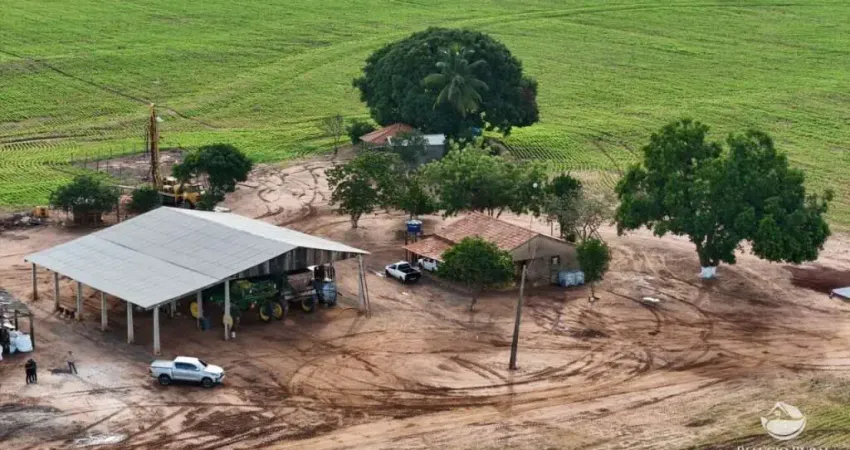 FAZENDA COM EXCELENTE LOGÍSTICA E RIO PERENE EM ESTREITO-MA