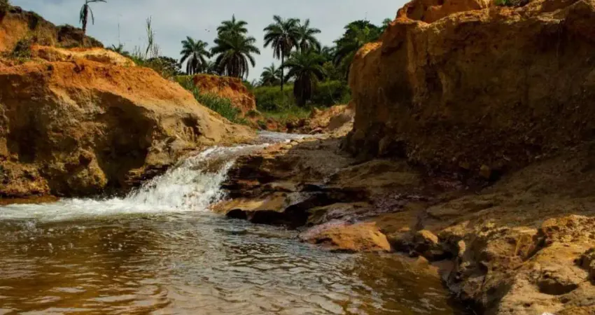 FAZENDA COM PLANTAÇÃO DE CAFÉ, SOJA E CASA MUITO BOA EM PATOS DE MINAS