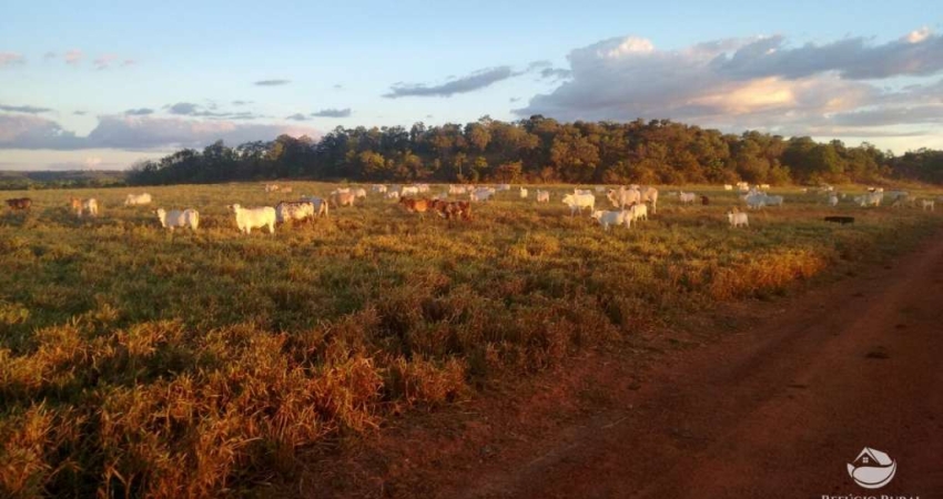 FAZENDA IMPERDÍVEL À VENDA (PORTEIRA FECHADA) ÓTIMA OPORTUNIDADE DE NEGÓCIO!