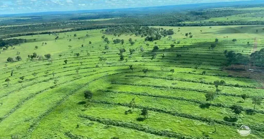 Fazenda à venda no Centro, Alcinópolis