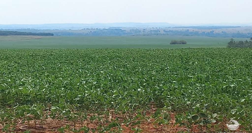 FAZENDA EM JUSCIMEIRA/MT  -  ÓTIMA OPORTUNIDADE PARA INVESTIDORES!