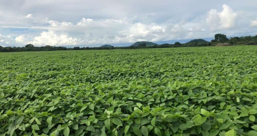 Fazenda à venda no Centro, Santa Terezinha 