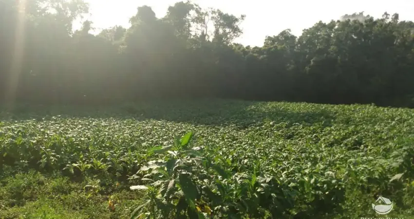 FAZENDA COM MATA NATIVA EM SANTA CRUZ DO SUL/RS