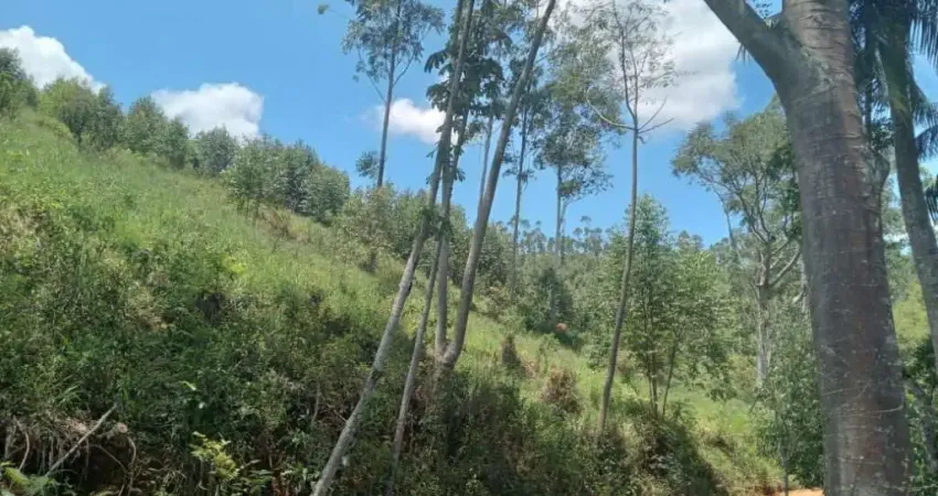 Fazenda à venda no Centro, Igaratá 