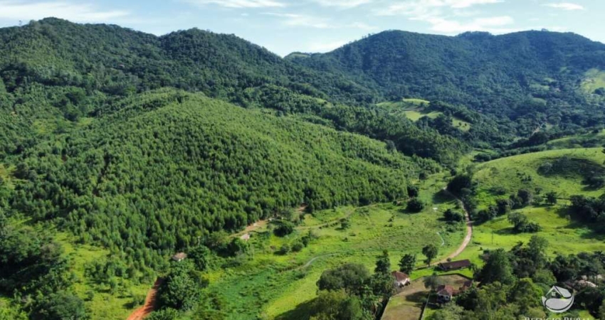 FAZENDA EM PIRACAIA COM VÁRIAS NASCENTES E MUITO EUCALIPTO