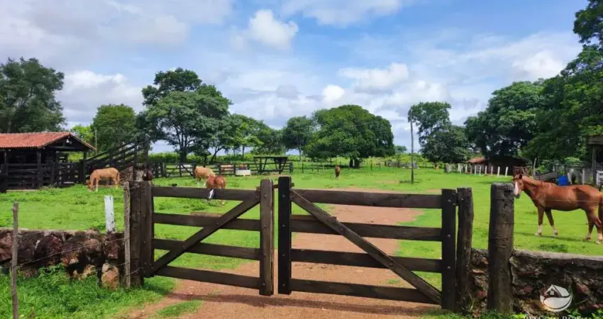 FAZENDA DE 163 ALQUEIRES PROPÍCIA PARA CRIAÇÃO DE GADO COM CASA SEDE E REPRESAS COM NASCENTE