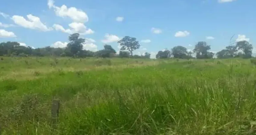 FAZENDA EXTRA EM IVOLÂNDIA/ GO