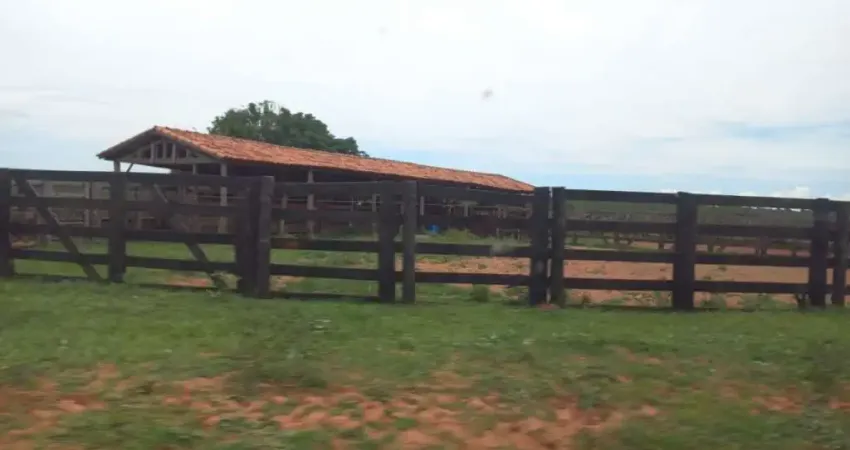 FAZENDA EXCELENTE LOCALIZAÇÃO EM CAMAPUÃ/MS