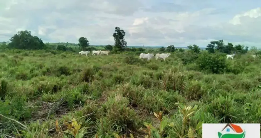 FAZENDA EM JUARINA/TO - IMPERDÍVEL!