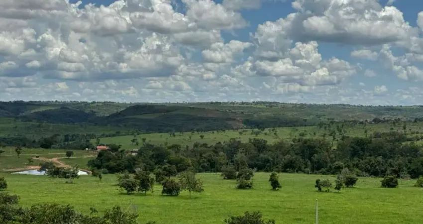 Fazenda à venda no Centro, Tesouro 