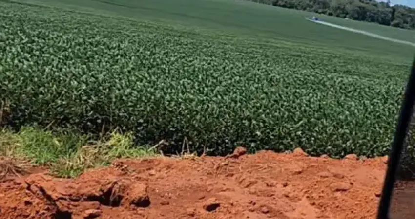 FAZENDA INCRÍVEL PRÓXIMO A TABAPORÃ/MT - OPORTUNIDADE ÚNICA!
