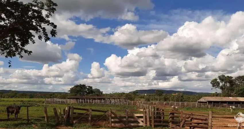 Fazenda à venda no Centro, Planalto da Serra 