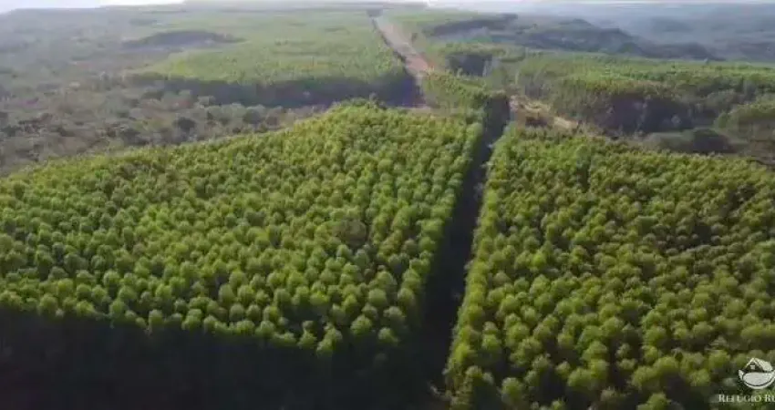 FAZENDA IMPERDÍVEL -  14.456 HECTARES COM NASCENTES E CÓRREGOS