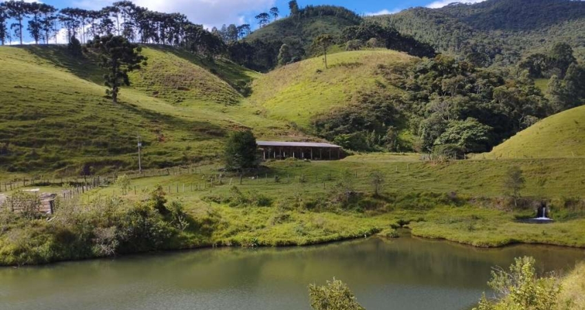 Fazenda à venda no Centro, Piracaia 